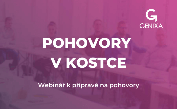 Pohovory v kostce